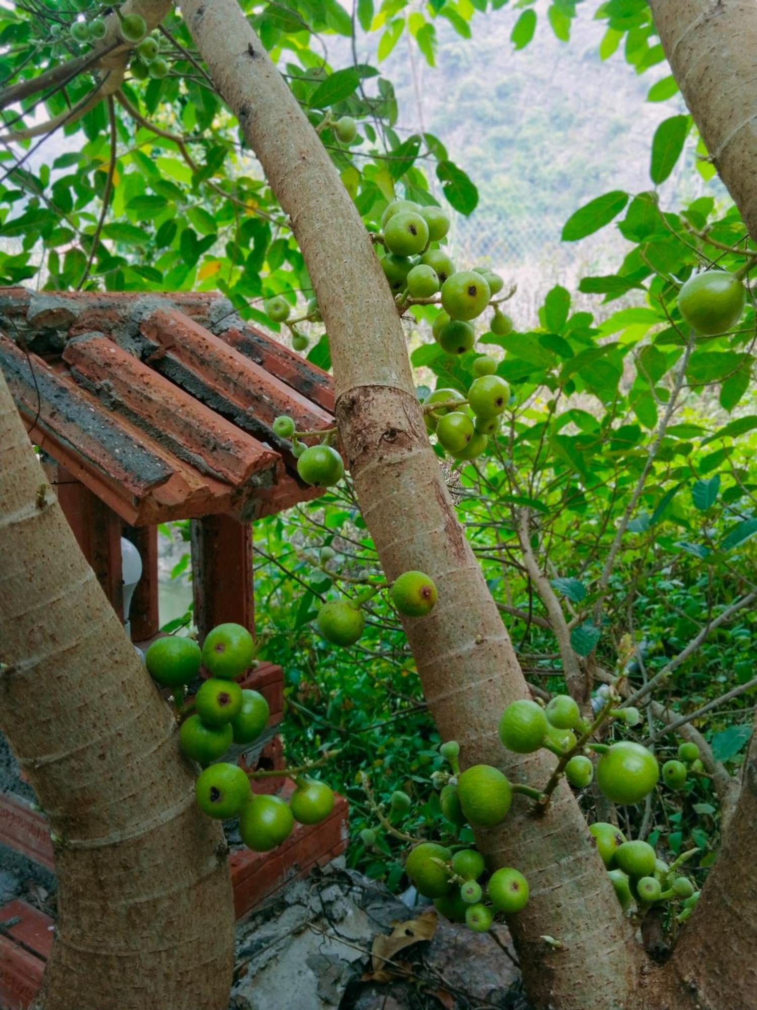 Hang Mua Eco Garden Xuan Son Exterior foto