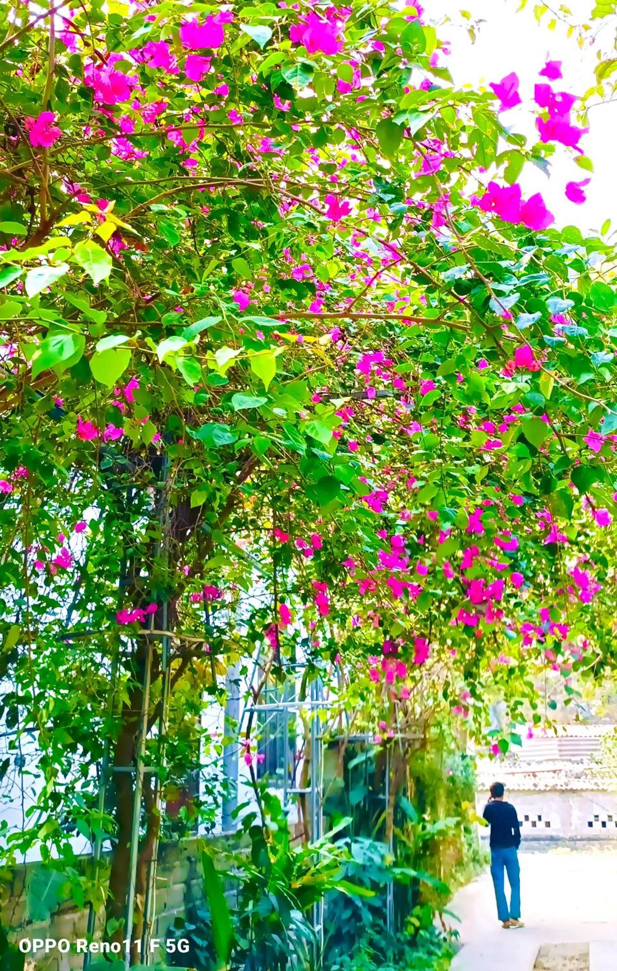 Hang Mua Eco Garden Xuan Son Exterior foto